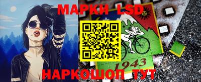 дмт Камышлов