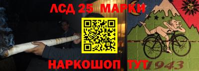 дмт Камышлов