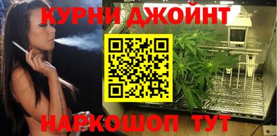 дмт Камышлов